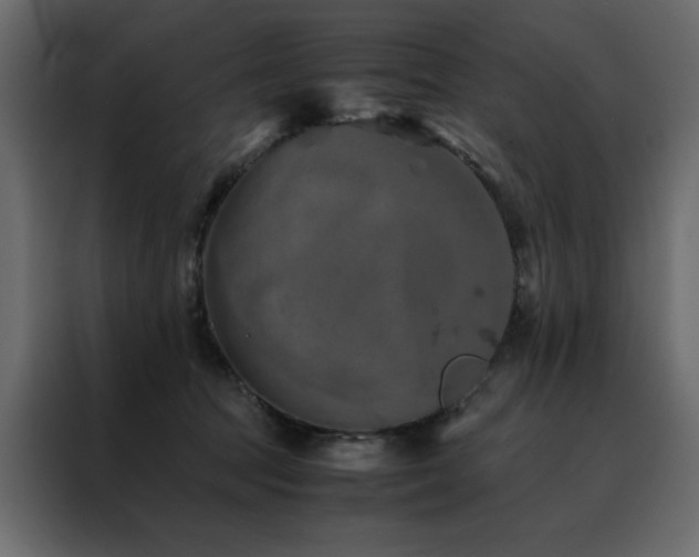 X0000088460369200705221347