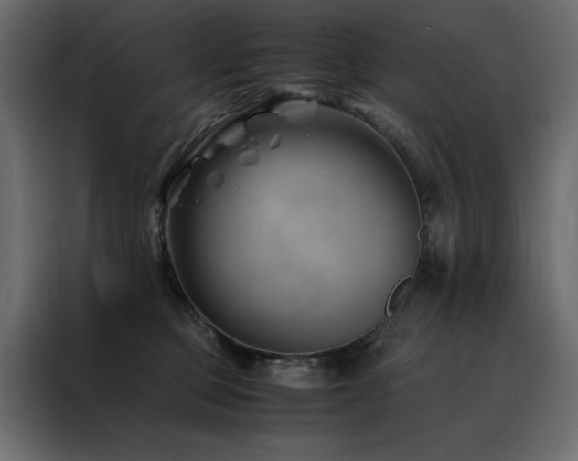 X0000088460373200705221347