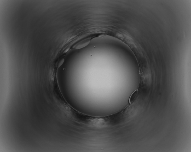 X0000088460374200705221347