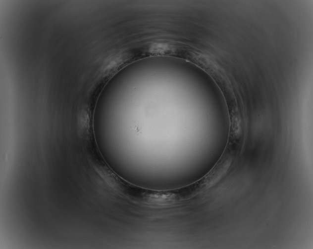X0000088460375200705221347