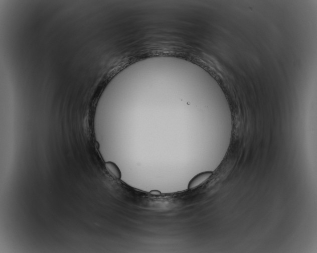 X0000088460377200705221347