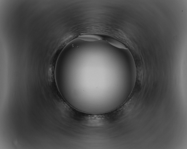 X0000088460378200705221347