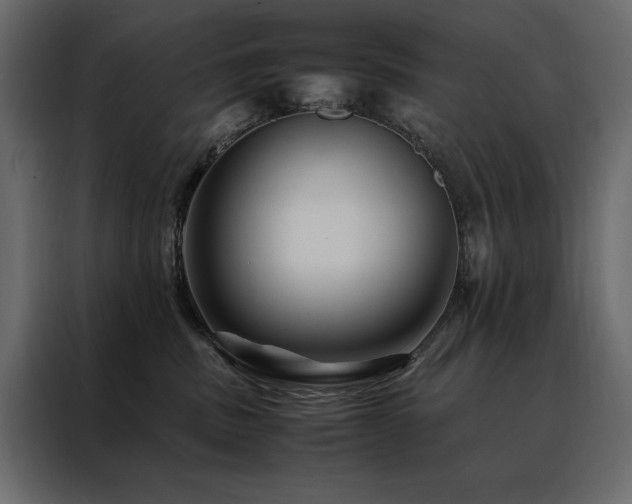 X0000088460379200705221347