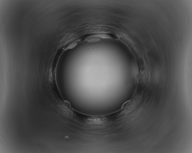 X0000088460381200705221347