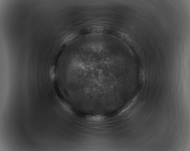 X0000088460383200705221347
