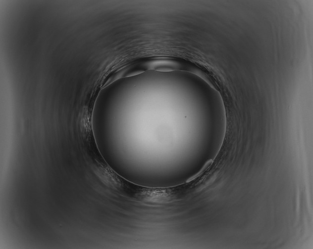 X0000088460384200705221347