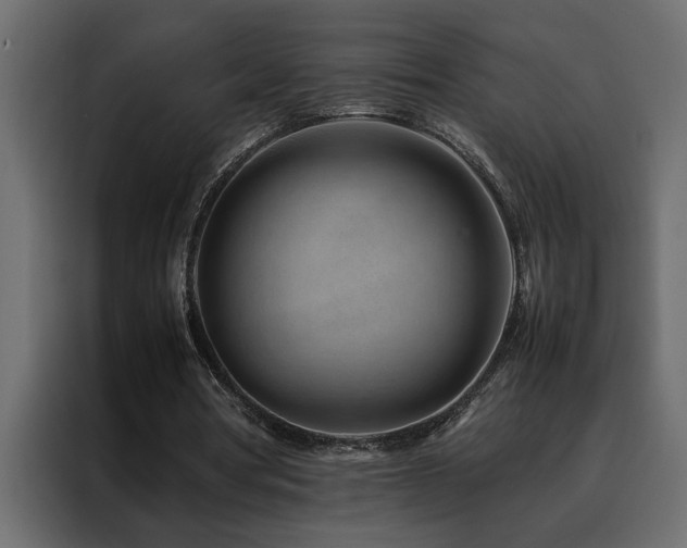 X0000088460386200705221347