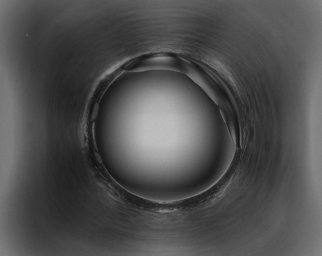X0000088460388200705221347