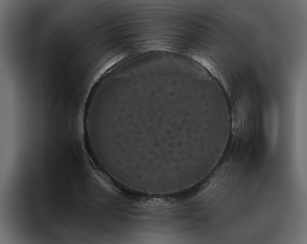 X0000088460390200705221347