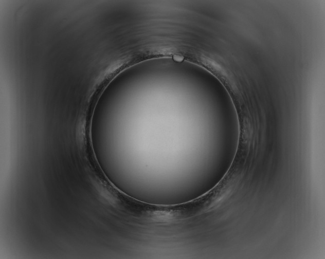 X0000088460394200705221347
