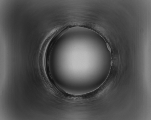 X0000088460395200705221347