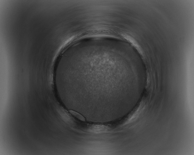 X0000088460399200705221347