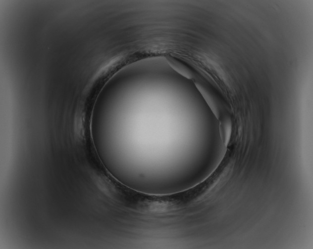 X0000088460400200705221347