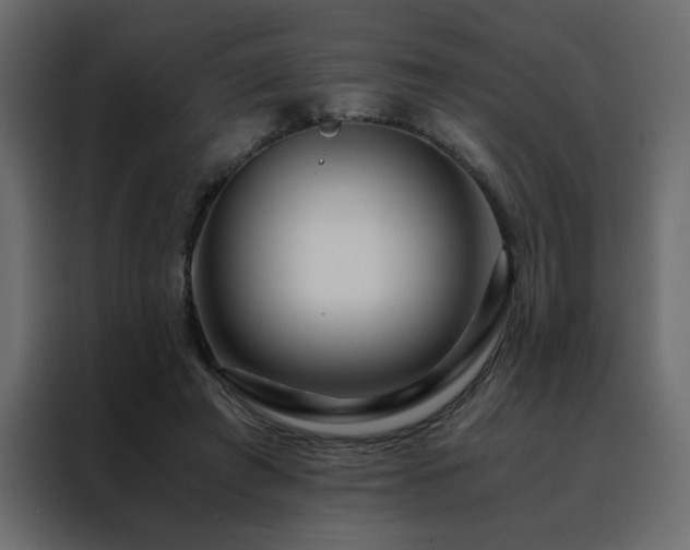 X0000088460401200705221347