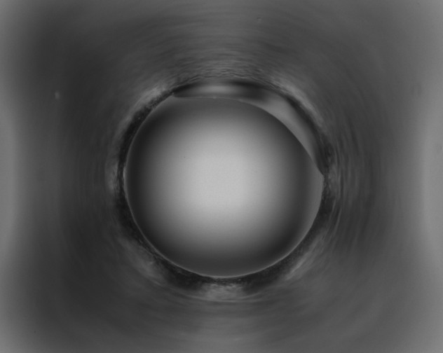 X0000088460403200705221347