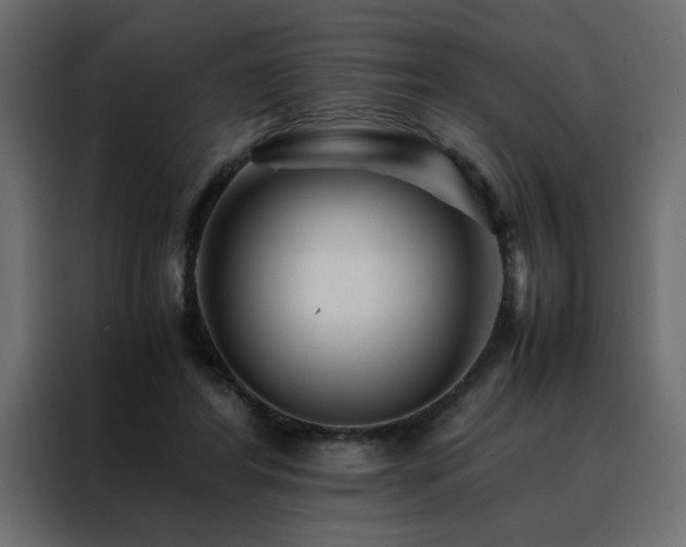 X0000088460404200705221347