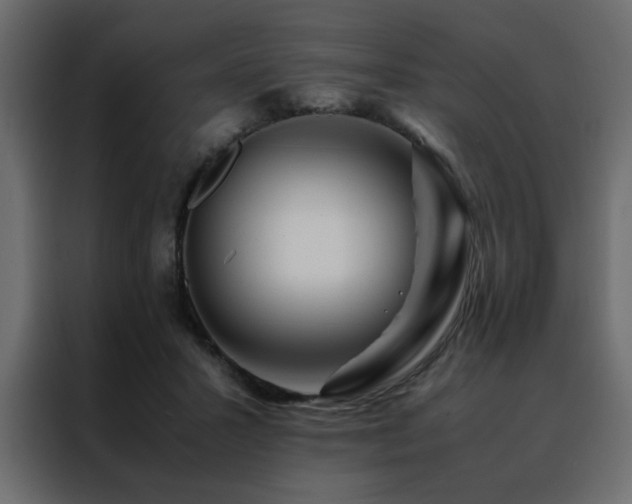 X0000088460407200705221347