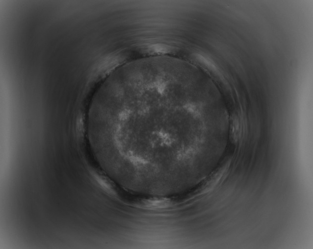 X0000088460410200705221347