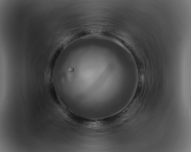 X0000088460411200705221347