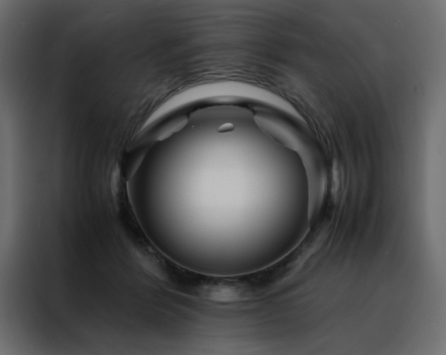 X0000088460412200705221347