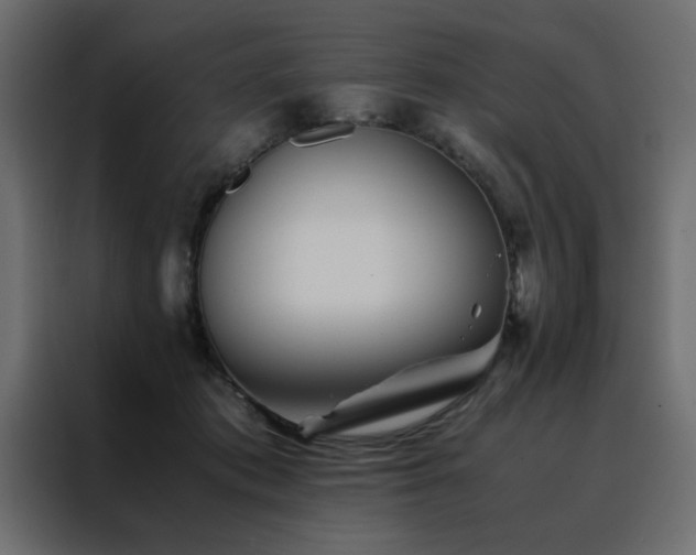 X0000088460413200705221346