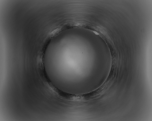 X0000088460415200705221346