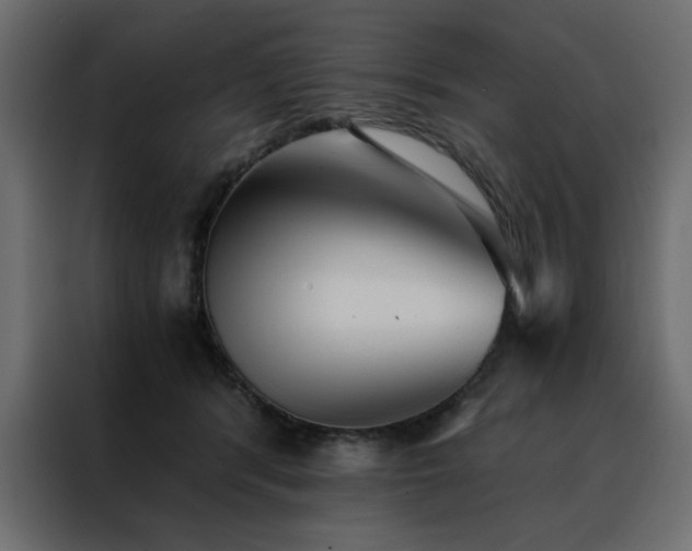 X0000088460416200705221346