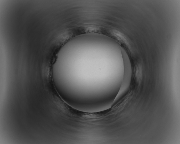 X0000088460417200705221346