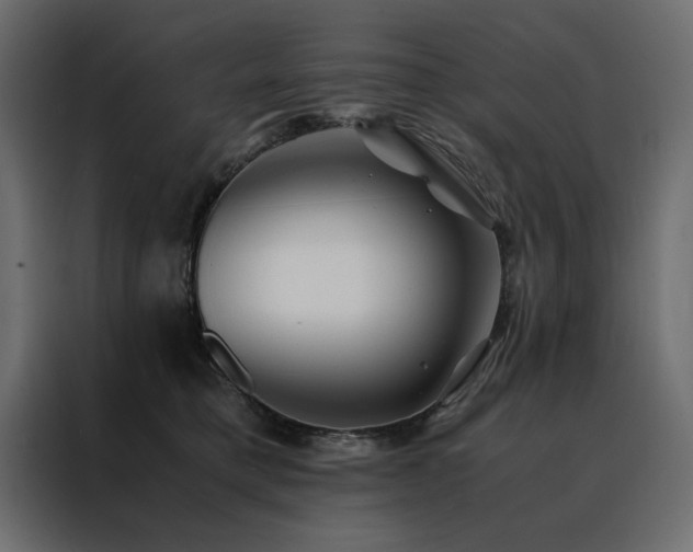 X0000088460421200705221346