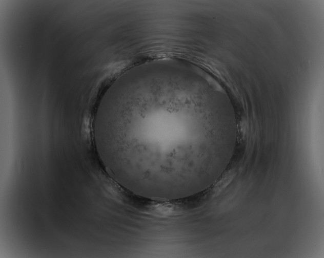 X0000088460423200705221346