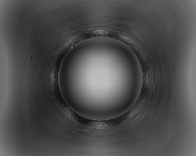 X0000088460424200705221346