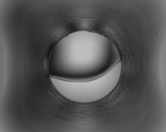 X0000088460425200705221346
