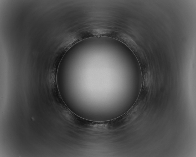 X0000088460426200705221346