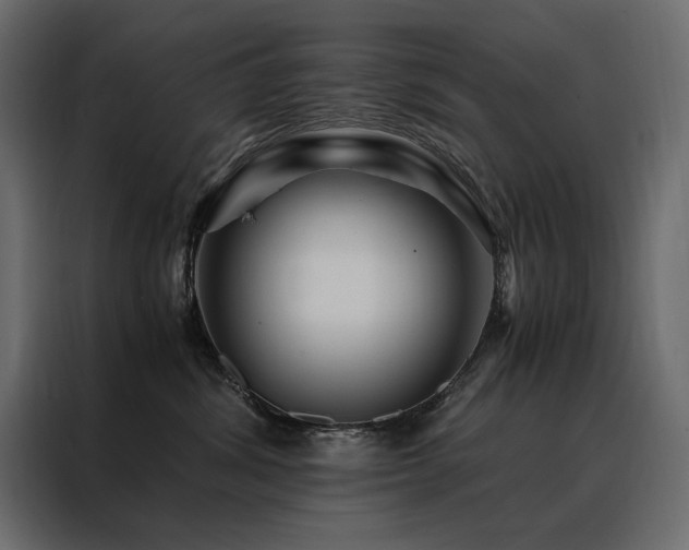 X0000088460428200705221346