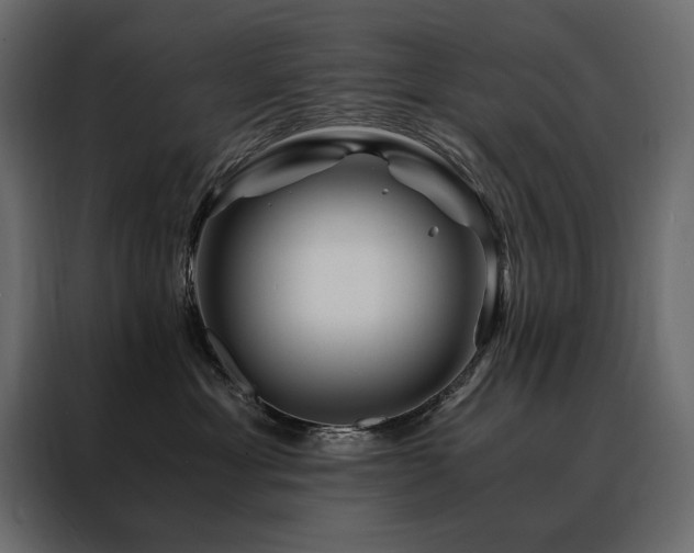 X0000088460429200705221346