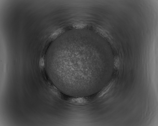 X0000088460431200705221346