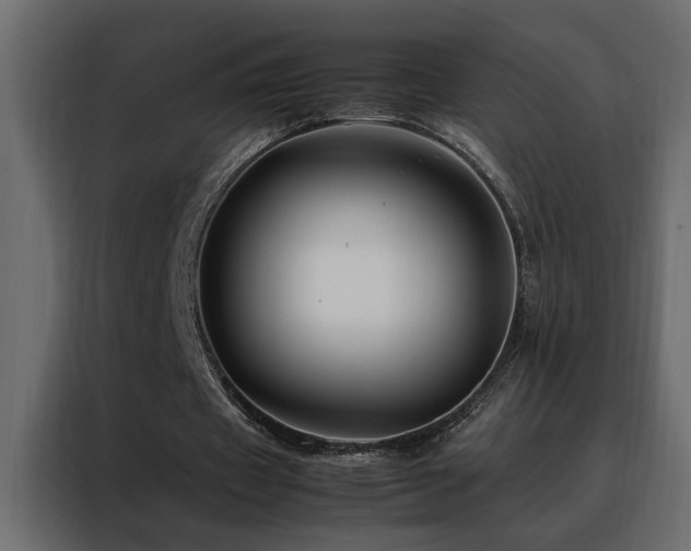 X0000088460433200705221346