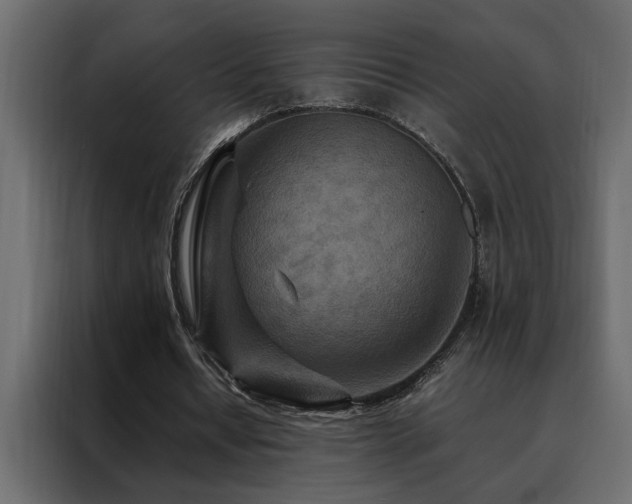 X0000088460434200705221346