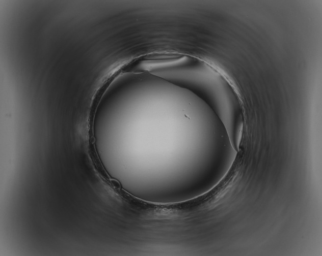 X0000088460437200705221346