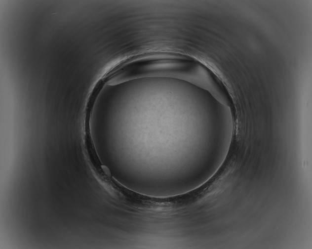 X0000088460438200705221346