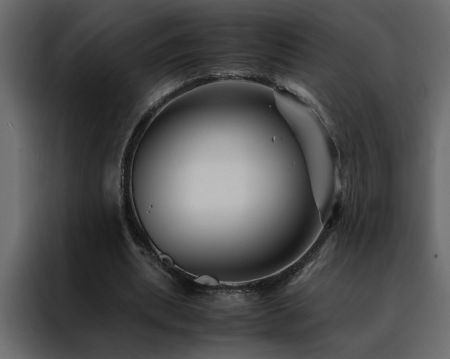 X0000088460439200705221346