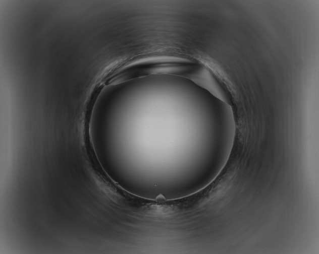 X0000088460442200705221346
