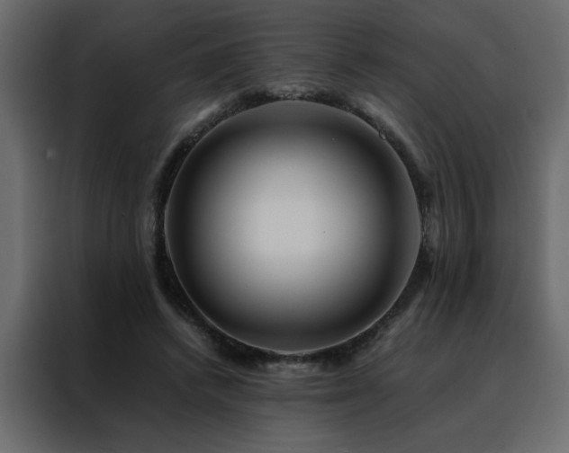 X0000088460448200705221346