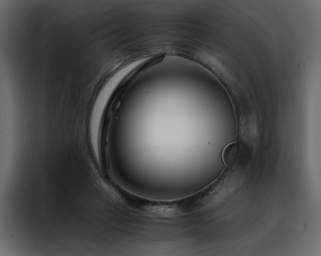 X0000088460449200705221346