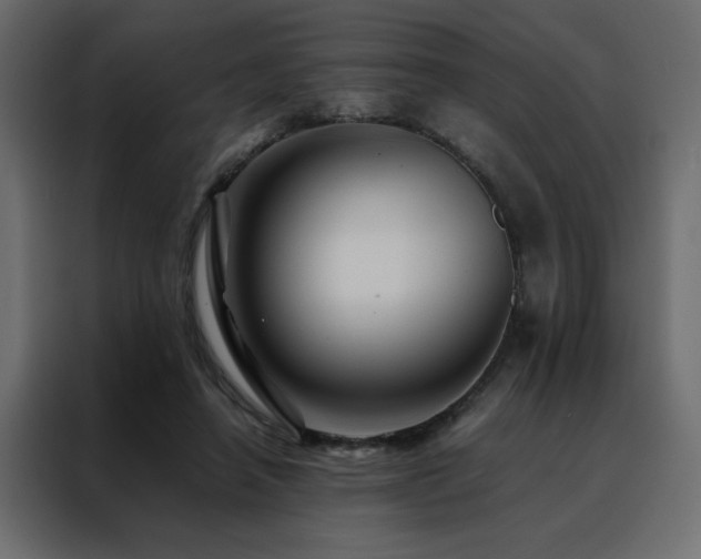 X0000088460450200705221346