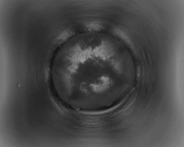 X0000088460451200705221346