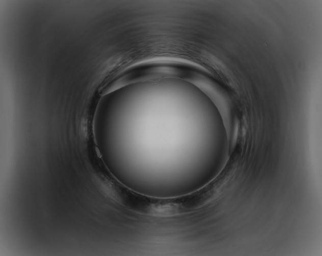 X0000088460452200705221346