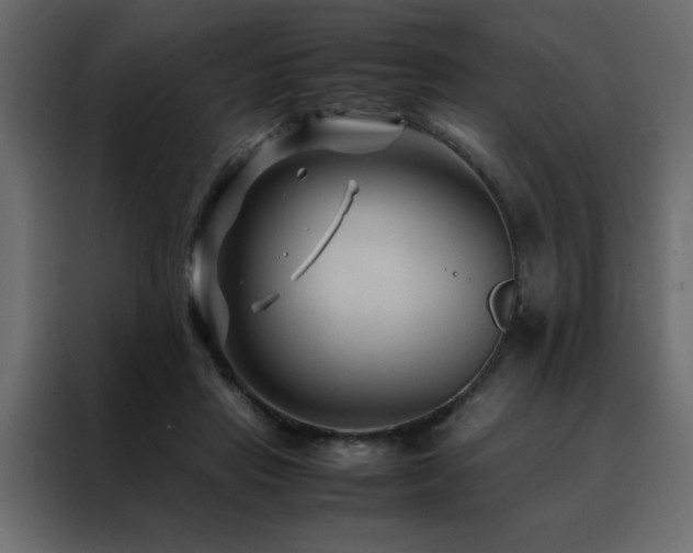 X0000088460453200705221346