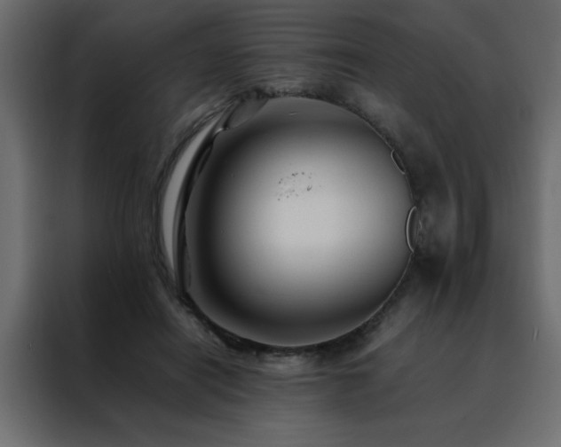 X0000088460454200705221346