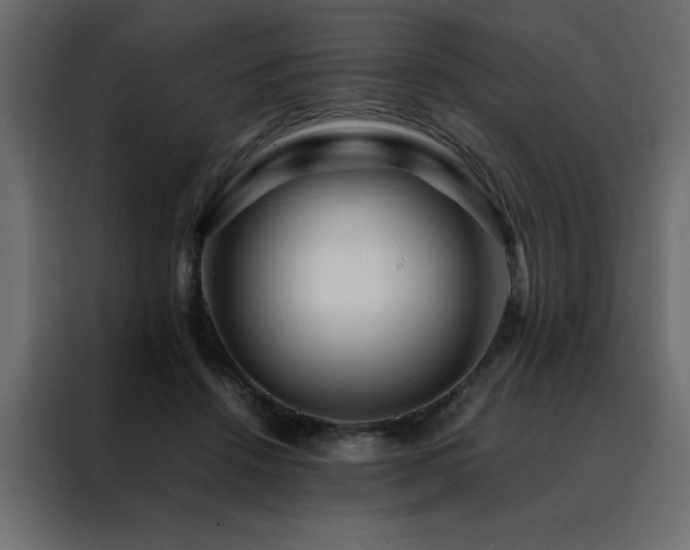 X0000088460456200705221346